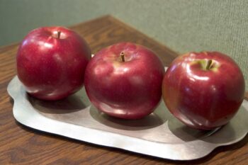 Red Prairie Spy Apple